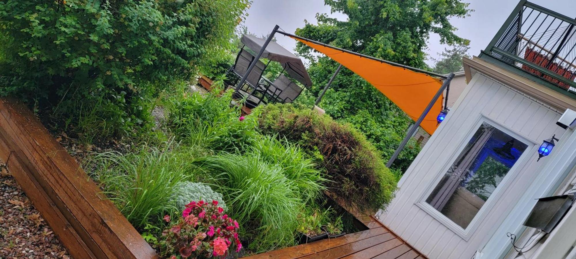 Kokomo Inn Bed And Breakfast Ottawa-Gatineau'S Only Tropical Riverfront B&B On The National Capital Cycling Pathway Route Verte #1 - For Adults Only - Chambre D'Hotes Tropical Aux Berges Des Outaouais Bnb #17542O ภายนอก รูปภาพ